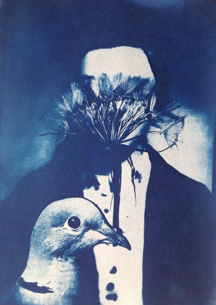 Cyanotype